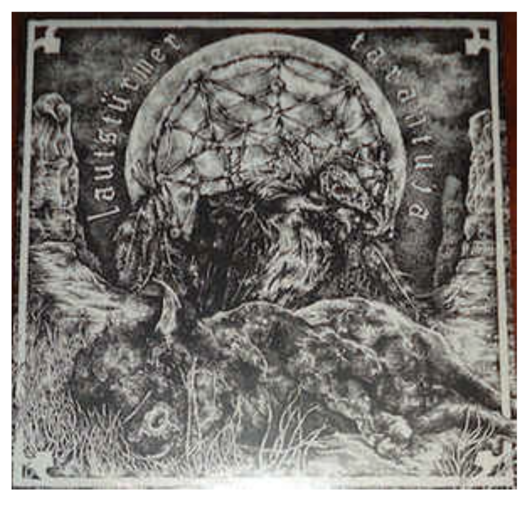 Lausturmer / Tarantuja - split LP